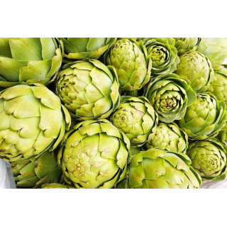 Пряные, лекарственные культуры