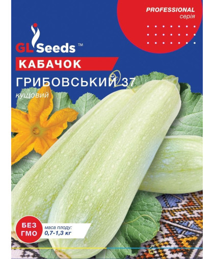 Кабачок Грибовський (15г), Professional, TM GL Seeds