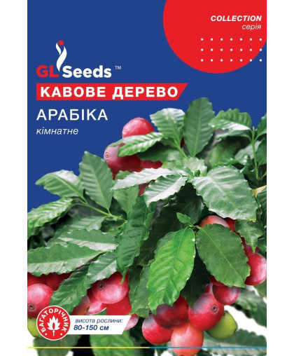 Кофейное дерево Арабика (5шт), Collection, TM GL Seeds