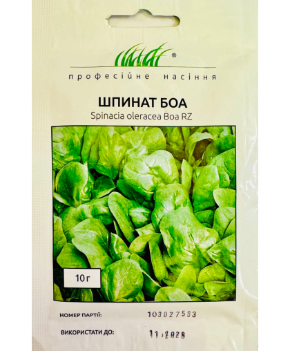 Шпинат Боа 10 г скоростиглий, Rijk Zvaan ПРОФЕСІЙНЕ НАСІННЯ