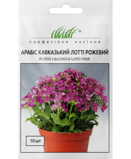 Арабис кавказский Лотти 10 дражированных семян розовый, Pan American flowers ПРОФЕСІЙНЕ НАСІННЯ