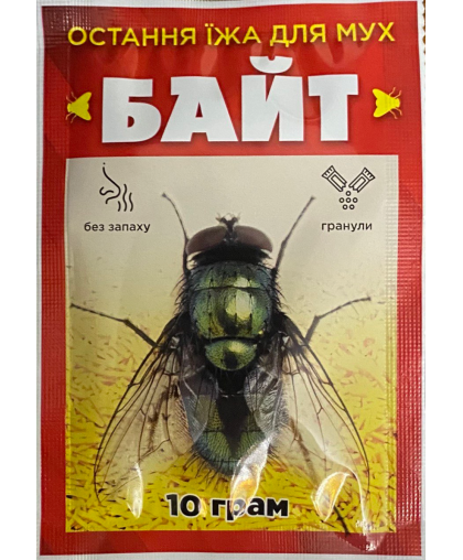Байт 10 г.
