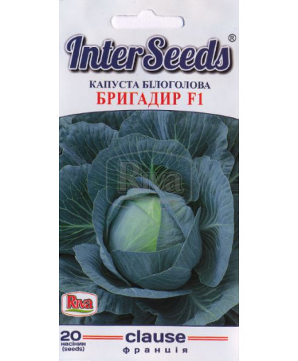 Капуста БРИГАДИР F1(20 сем) Рива
