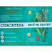 СПАСАТЕЛЬ ХВОЇ І ГАЗОНУ 3 МЛ + 10 МЛ (упаковка 50 шт)