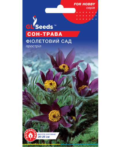 Сон-трава Фіолетовий Сад; (0.1г), For Hobby, TM GL Seeds