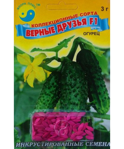ОГІРОК ВІРНІ ДРУЗІ F1 (3г) Флора плюс