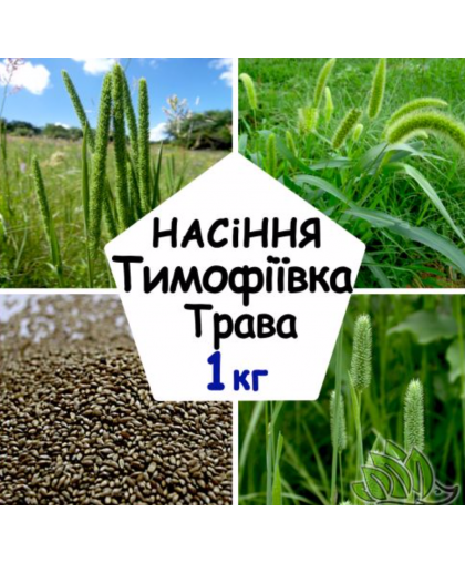 Тимофеевка луговая семена